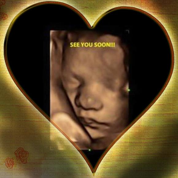 Meet your Posher, Lori - Picture 1 of 1